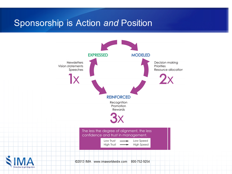 Healthcare Transformation Sponsorship Responsibilities