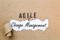 Change Management in an Agile World [Article]