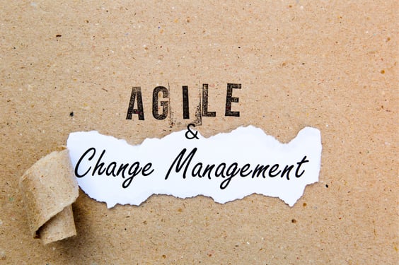Change Management and Agile